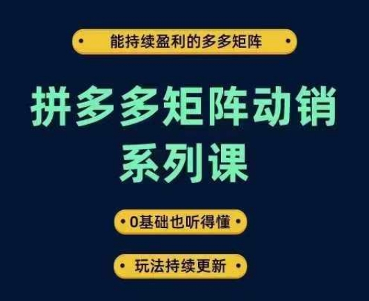 拼多多矩阵动销系列课，能持续盈利的多多矩阵，0基础也听得懂，玩法持续更新-HEIXMI（中国站）