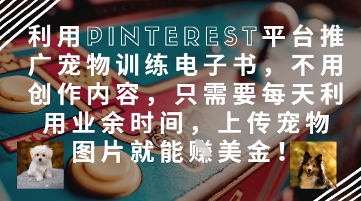 利用Pinterest平台推广宠物训练电子书，不用创作内容，只需要每天利用业余时间，上传宠物图片就能挣美金!-HEIXMI（中国站）