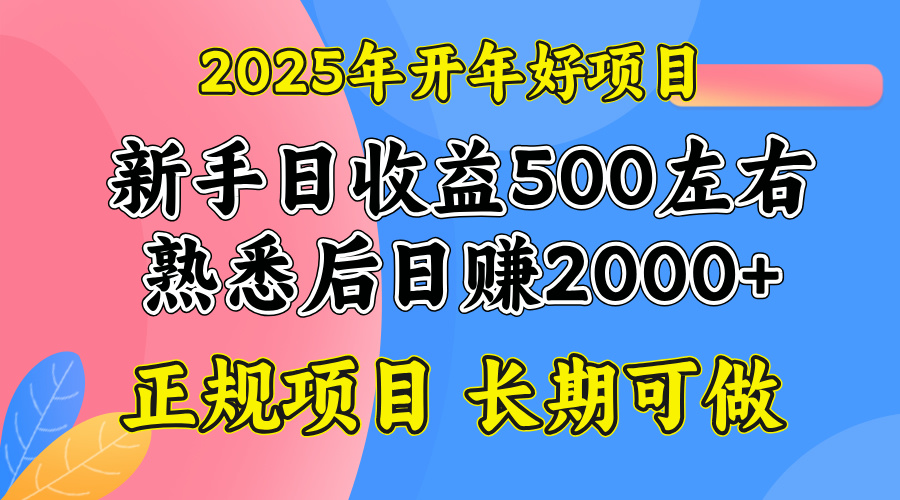 2025开年好项目，单号日收益2000左右-HEIXMI（中国站）