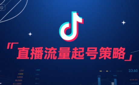 尼采老师·直播流量起号实战课-HEIXMI（中国站）