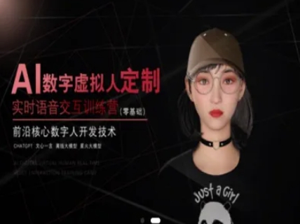 AI数字虚拟人定制，实时语音交互训练营(零基础)，前沿核心数字人开发技术 - HEIXMI（中国站）-HEIXMI（中国站）