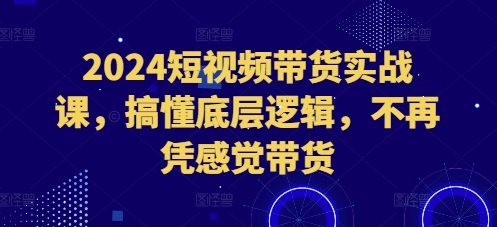 2024短视频带货实战课，搞懂底层逻辑，不再凭感觉带货-HEIXMI（中国站）