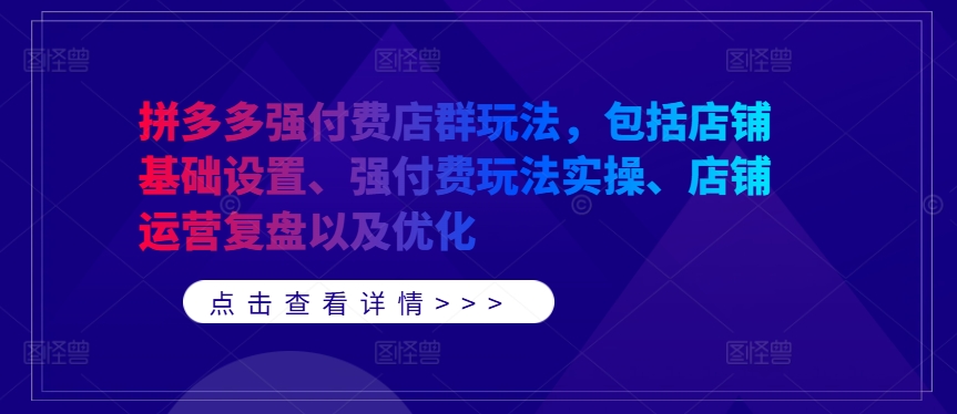 拼多多强付费店群玩法，包括店铺基础设置、强付费玩法实操、店铺运营复盘以及优化-HEIXMI（中国站）