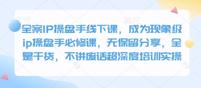 全案IP操盘手线下课，成为现象级ip操盘手必修课，无保留分享，全是干货，不讲废话超深度培训实操-HEIXMI（中国站）