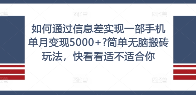 如何通过信息差实现一部手机单月变现5000+?简单无脑搬砖玩法，快看看适不适合你【揭秘】-HEIXMI（中国站）