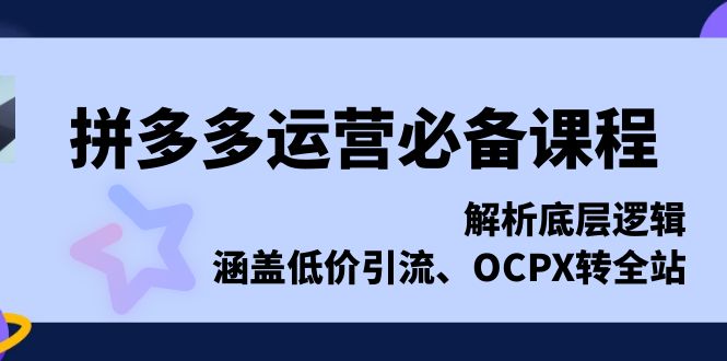拼多多运营必备课程，解析底层逻辑，涵盖低价引流、OCPX转全站-HEIXMI（中国站）