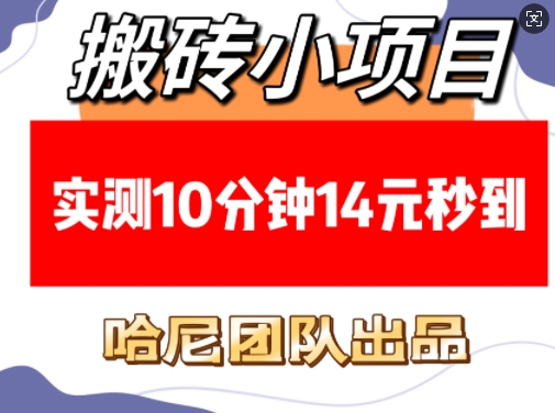 搬砖小项目，实测10分钟14元秒到，每天稳定几张(赠送必看稳定)-HEIXMI（中国站）