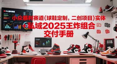 小众暴利赛道(球鞋定制，二创项目)实体+私域2025王炸组合  交付手册 - HEIXMI（中国站）-HEIXMI（中国站）