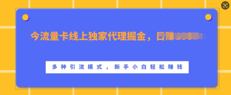 流量卡线上独家代理掘金，日入1k+ ，多种引流模式，新手小白轻松上手【揭秘】-HEIXMI（中国站）