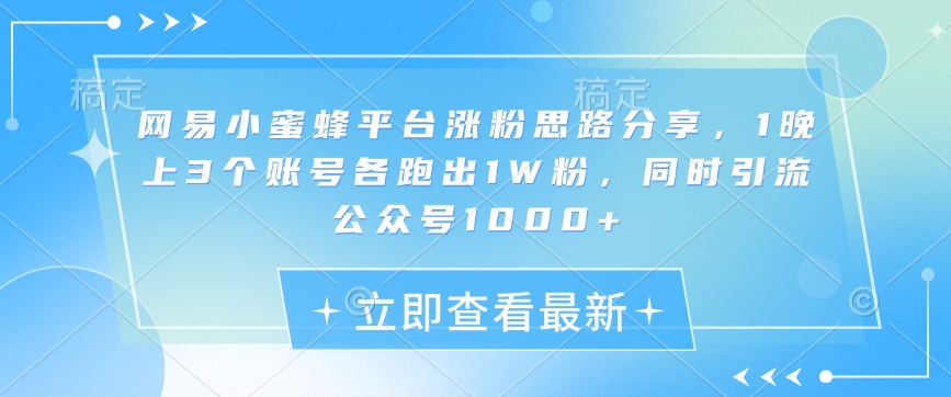 网易小蜜蜂平台涨粉思路分享，1晚上3个账号各跑出1W粉，同时引流公众号1000+-HEIXMI（中国站）