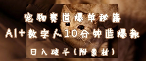 宠物赛道爆单秘籍：AI+数字人10分钟造爆款，日入1k-HEIXMI（中国站）