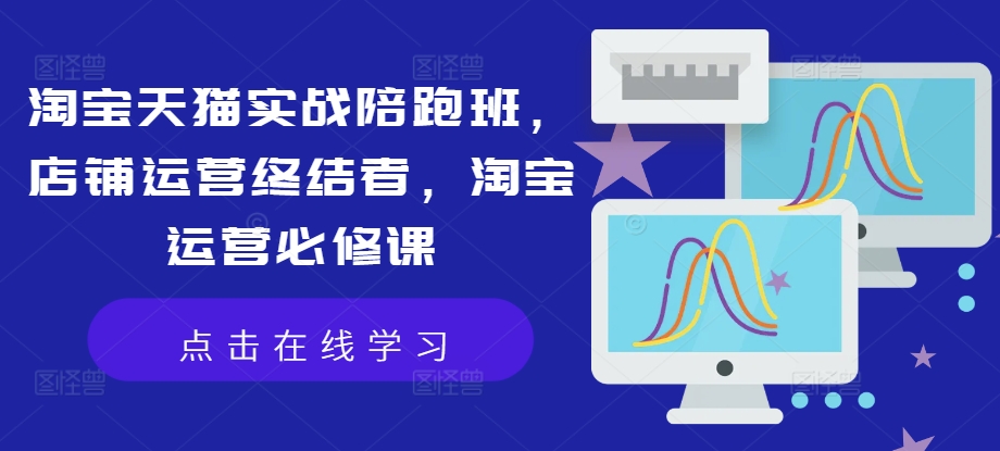 淘宝天猫实战陪跑班，店铺运营终结者，淘宝运营必修课-HEIXMI（中国站）