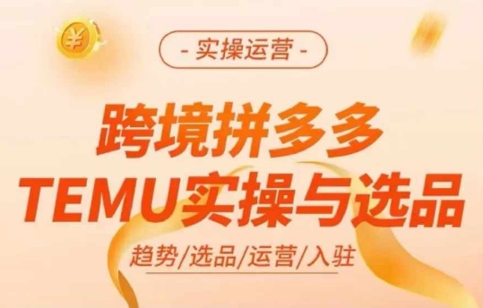 跨境拼多多TEMU实操与选品，多多temu跨境选品运营实操-HEIXMI（中国站）