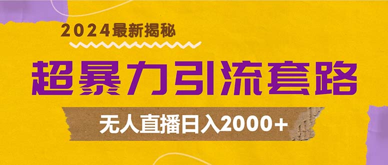 超暴力引流套路，无人直播日入2000+-HEIXMI（中国站）