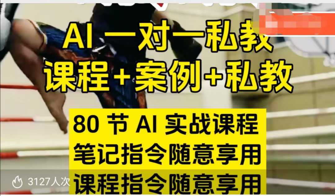 AI指令实战课，课程+案例，80节AI实战课程，笔记指令随意享用，课程指令随意享用(更新7月)-HEIXMI（中国站）