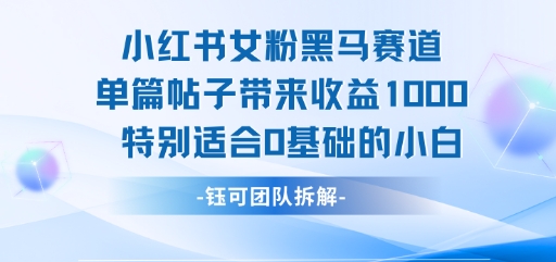 小红书女粉黑马赛道单篇帖子带来收益1k+，特别适合0基础的小白-HEIXMI（中国站）
