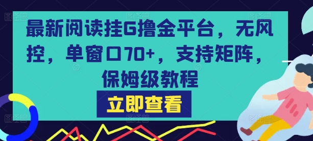 最新阅读挂G撸金平台，无风控，单窗口70+，支持矩阵，保姆级教程【揭秘】-HEIXMI（中国站）