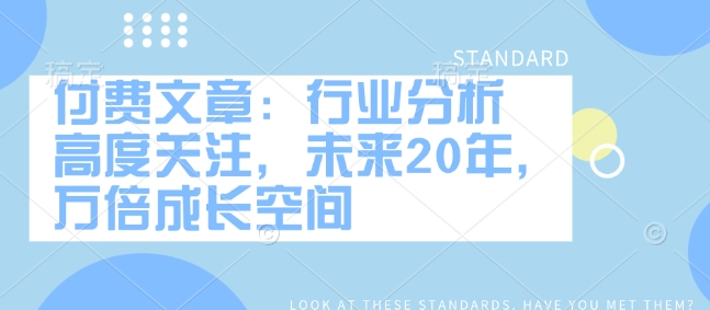 付费文章：行业分析 高度关注，未来20年，万倍成长空间-HEIXMI（中国站）