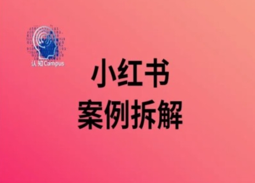 小红书案例拆解，深度解读小红书40万粉-HEIXMI（中国站）