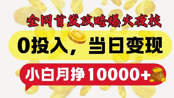全网首发爆火夜校，0投入，当日变现，小白轻松月入1w+【揭秘】-HEIXMI（中国站）