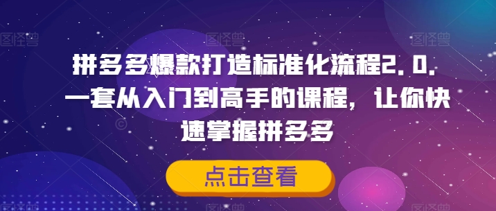 拼多多爆款打造标准化流程2.0，一套从入门到高手的课程，让你快速掌握拼多多-HEIXMI（中国站）