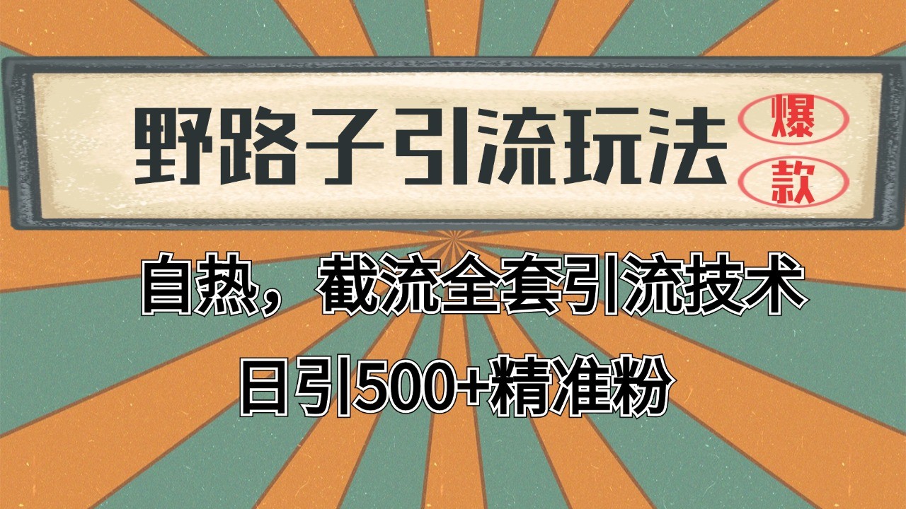 2024首发野路子引流玩法截流自热全平台打法，全自动引流【日引2000+精准客户】 - HEIXMI（中国站）-HEIXMI（中国站）