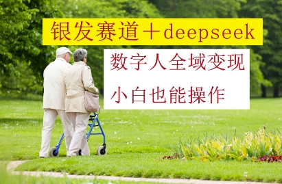 银发赛道+deepseek数字人全域变现，小白也能操作-HEIXMI（中国站）