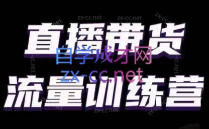 婉婉·直播带货课程系列合集(更新8月)-HEIXMI（中国站）