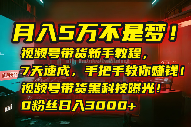 月入5万不是梦！视频号带货新手教程，7天速成，手把手教你赚钱！视频号…-HEIXMI（中国站）