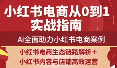 天诺老吴·2025小红书电商全链路运营-HEIXMI（中国站）