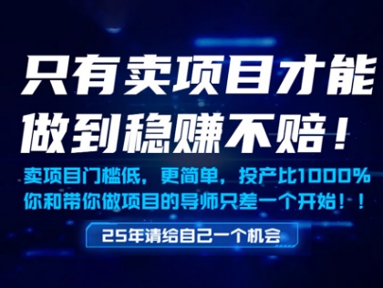 只有卖项目才能做到稳挣不赔，门槛低，更简单，你也可以年入百个W【揭秘】 - HEIXMI（中国站）-HEIXMI（中国站）