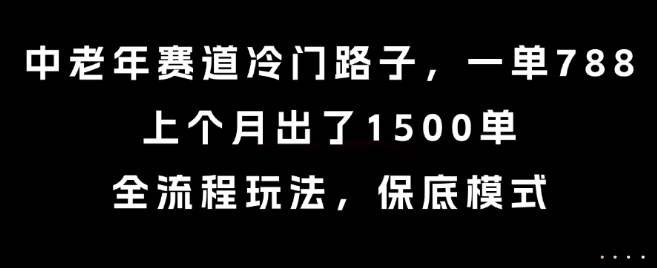 中老年赛道冷门路子，一单788，上个月出了1500单，全流程玩法，保底模式【揭秘】-HEIXMI（中国站）