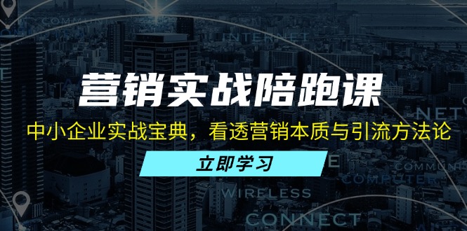 营销实战陪跑课：中小企业实战宝典，看透营销本质与引流方法论-HEIXMI（中国站）