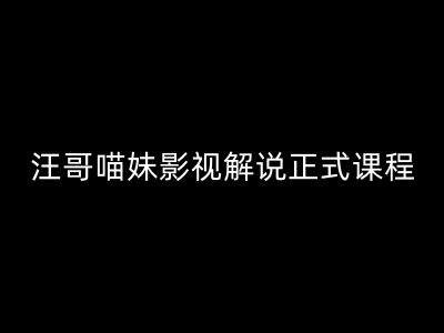 汪哥影视解说正式课程：剪映/PR教学/视解说剪辑5大黄金法则/全流程剪辑7把利器等等-HEIXMI（中国站）