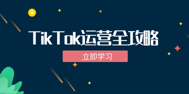 TikTok实战运营全攻略：从下载软件到变现，抖音海外版实操教程-HEIXMI（中国站）