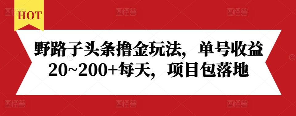 野路子头条撸金玩法，单号收益20~200+每天，项目包落地-HEIXMI（中国站）
