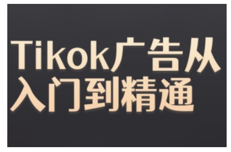 Tiktok Ads实操教程，Tiktok广告从入门到精通-HEIXMI（中国站）