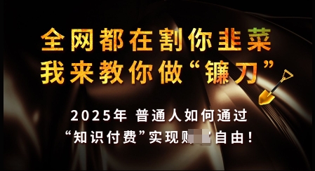 知识付费如何做到月入过W+，2025我来教你做“镰刀”【揭秘】-HEIXMI（中国站）