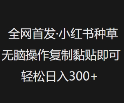 全网首发，小红书种草无脑操作，复制黏贴即可，轻松日入3张-HEIXMI（中国站）