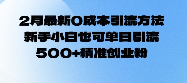 2月最新0成本引流方法，新手小白也可单日引流500+精准创业粉-HEIXMI（中国站）