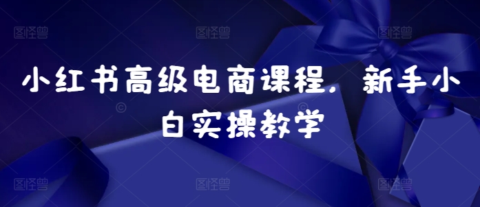 小红书高级电商课程，新手小白实操教学-HEIXMI（中国站）