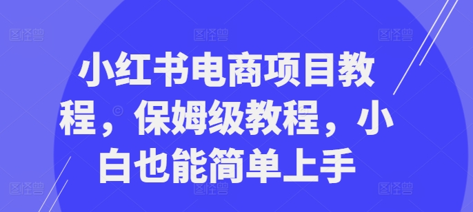 小红书电商项目教程，保姆级教程，小白也能简单上手-HEIXMI（中国站）