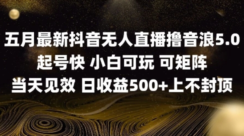 2025五月最新无人直播撸音浪单日产出5张+实操教程【揭秘】 - HEIXMI（中国站）-HEIXMI（中国站）