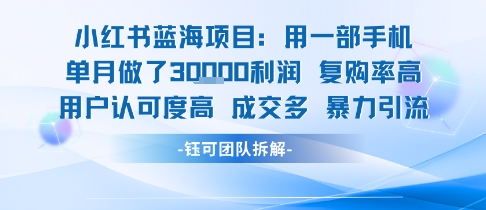 小红书蓝海项目，一部手机单月做了3W利润，小白也能月入过1W用户认可度高成交多-HEIXMI（中国站）