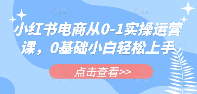 小红书电商从0-1实操运营课，0基础小白轻松上手-HEIXMI（中国站）