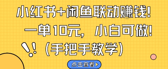 小红书+闲鱼联动挣钱，一单10元，小白可做-HEIXMI（中国站）