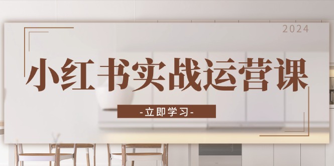 小红书实战运营课：从开通店铺到直播话术，打造爆款笔记与高效直播-HEIXMI（中国站）