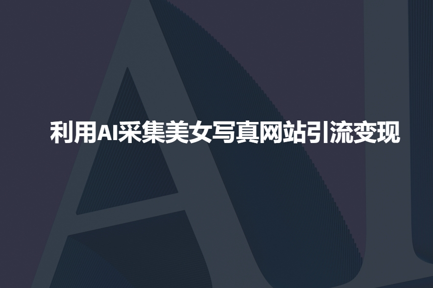 利用AI采集美女写真网站引流变现，引流嘎嘎的-HEIXMI（中国站）