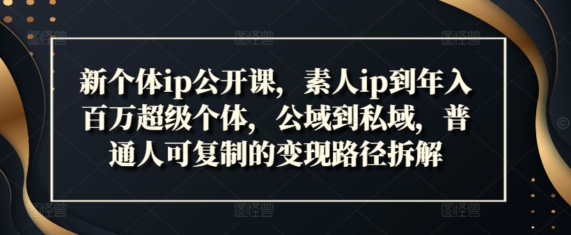 新个体ip公开课，素人ip到年入百万超级个体，公域到私域，普通人可复制的变现路径拆解-HEIXMI（中国站）