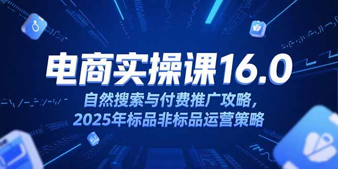 淘宝电商运营课16.0，自然搜索与付费推广攻略，2025年标品非标品运营策略-HEIXMI（中国站）